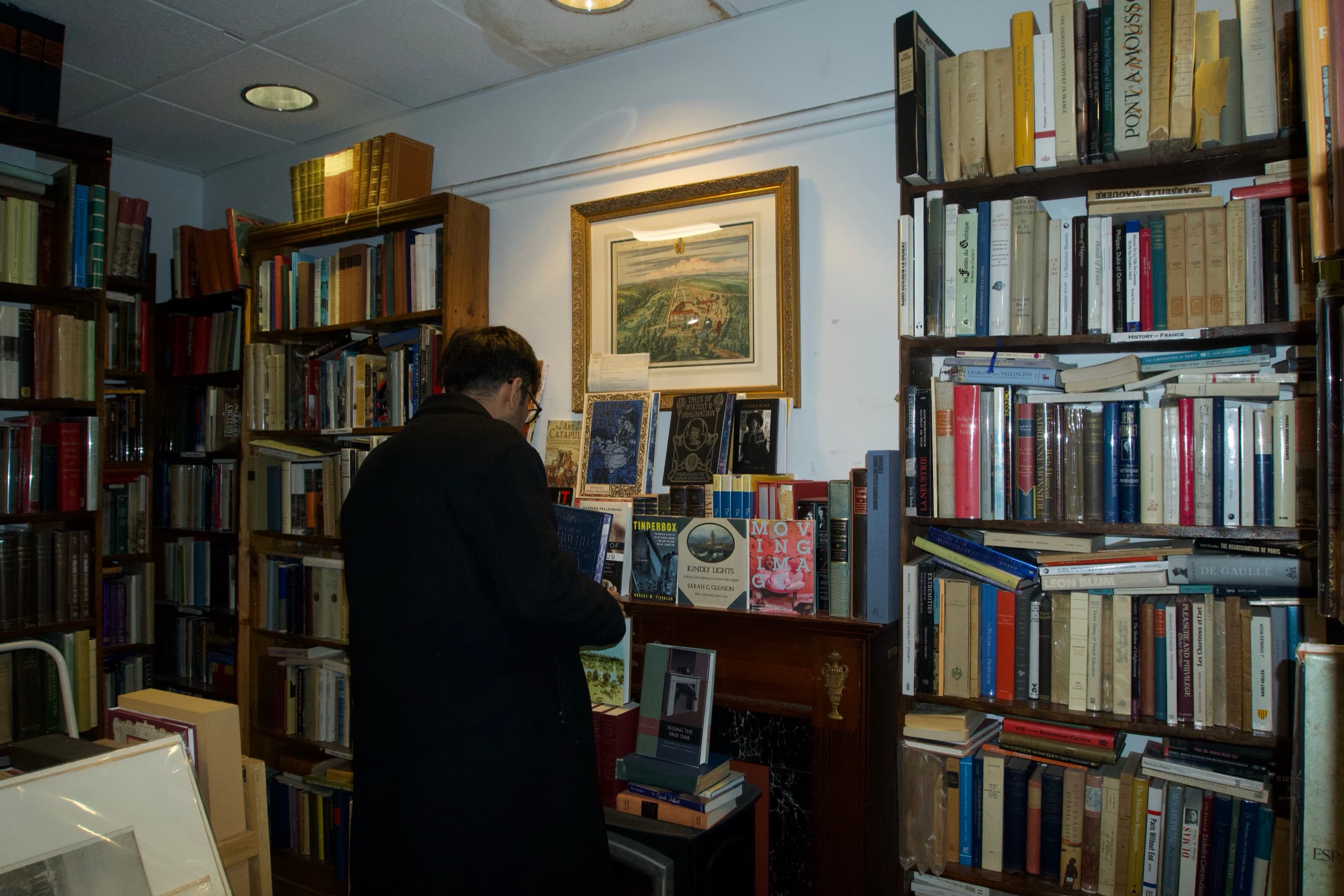 A person reading inside a bookshop