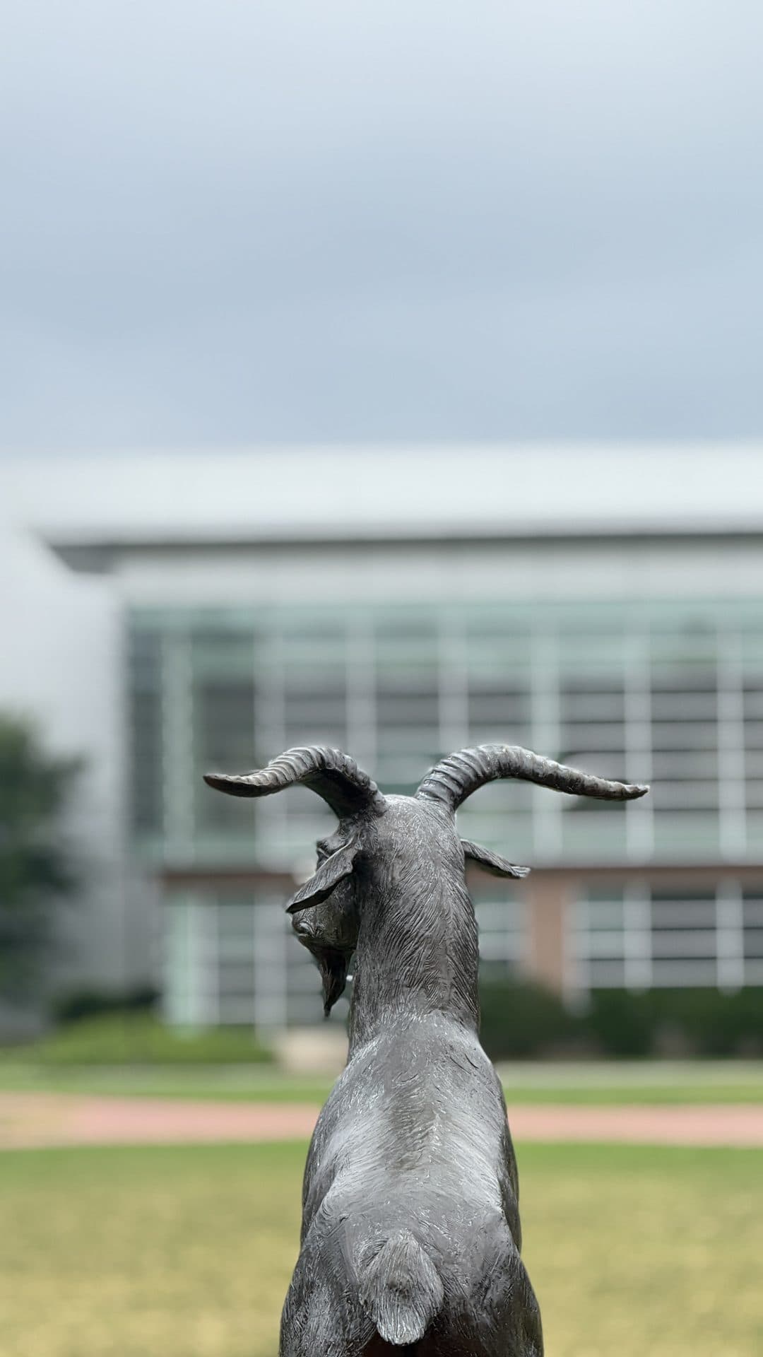 A rabbit sculpture outside a glass building