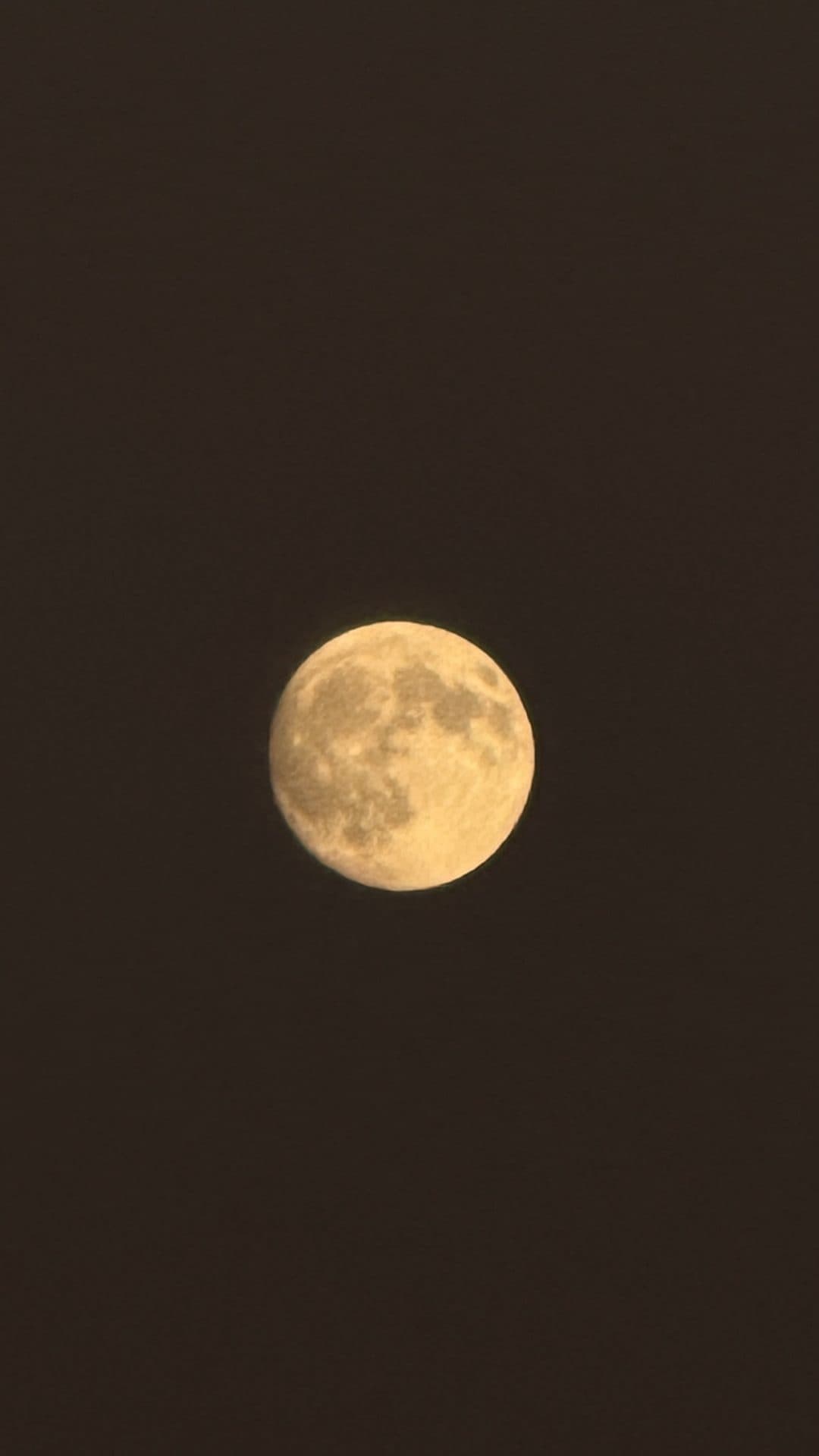 The full moon against a dark sky
